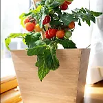 Markt Eins Gaestezimmer 3* Schoppenstedt
