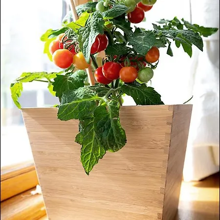 Markt Eins Gaestezimmer * Schoppenstedt