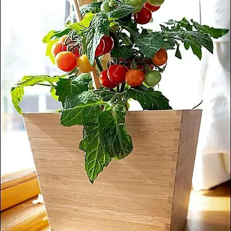 Markt Eins Gaestezimmer Locanda